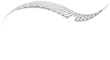 airplast