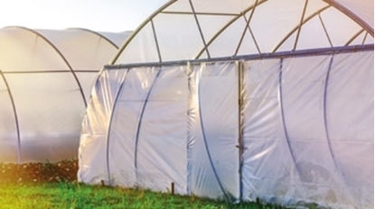 Picture of GREENHOUSE FILM