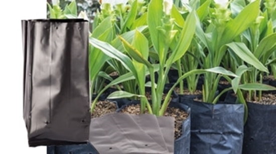 Picture of PLANT NURSERY BAGS