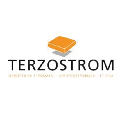 Picture for manufacturer TERZOSTROM